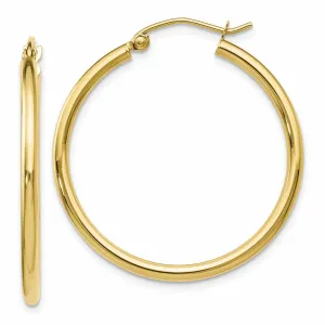 10kt Yellow Gold Polished Hinged Hoop Earrings