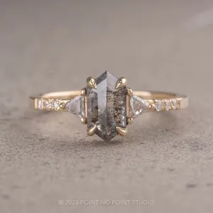 1.12 Carat Salt and Pepper Hexagon Diamond Engagement Ring, Eliza Setting, 14K Yellow Gold