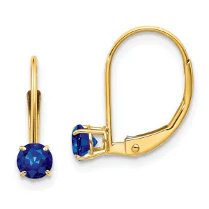 14k Yellow Gold Sapphire Birthstone Earrings