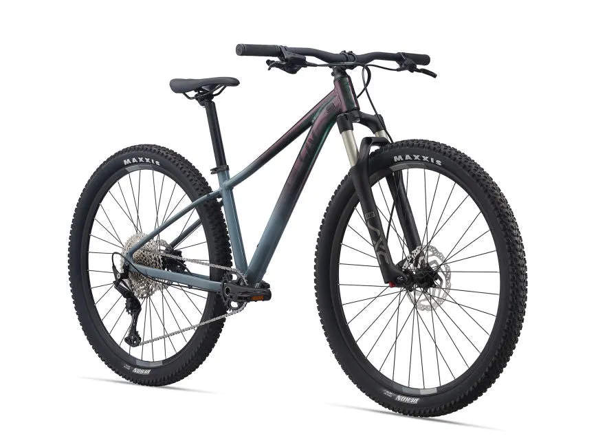2021 Tempt 29er 0  - In Store Pick Up Only