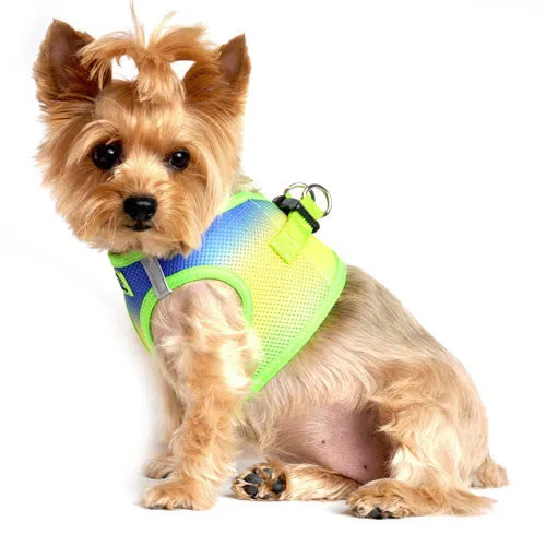 American River Ombre Harness — Cobalt Sport
