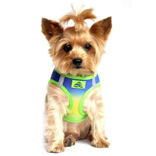 American River Ombre Harness — Cobalt Sport