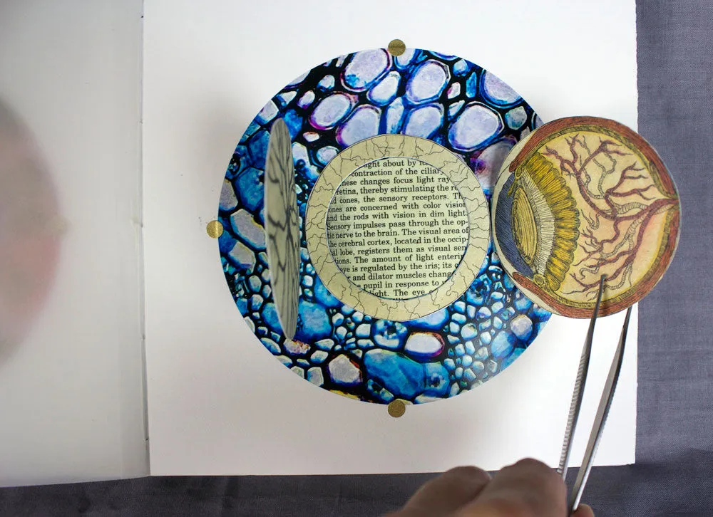 Anatomical Inquiry by Angela Batchelor -SOLD!