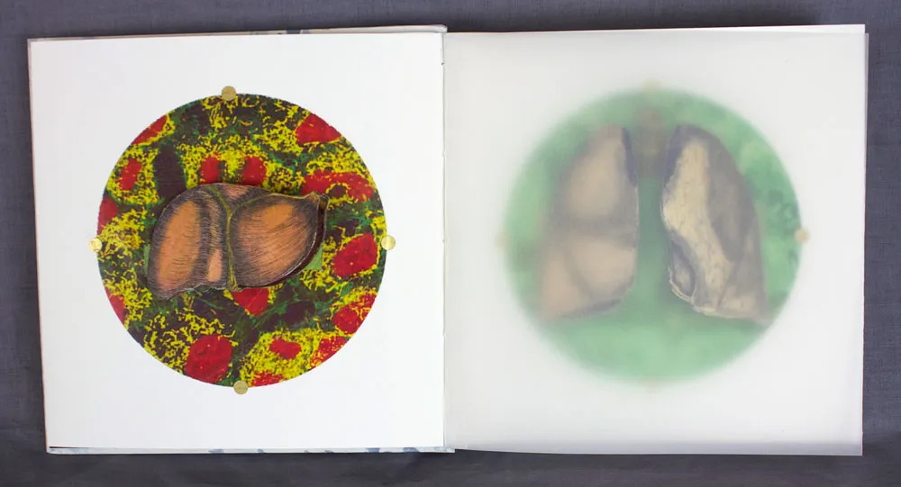 Anatomical Inquiry by Angela Batchelor -SOLD!