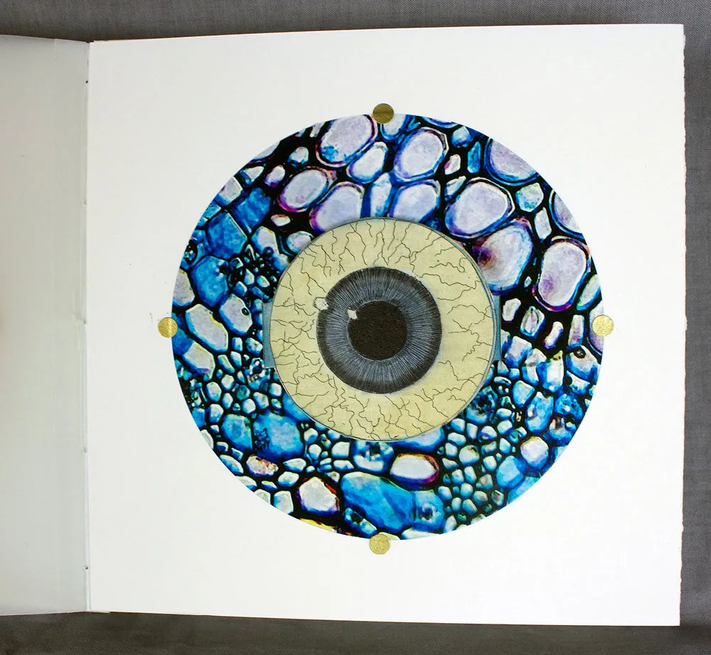 Anatomical Inquiry by Angela Batchelor -SOLD!