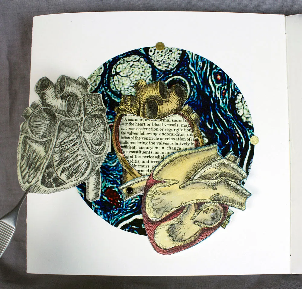 Anatomical Inquiry by Angela Batchelor -SOLD!