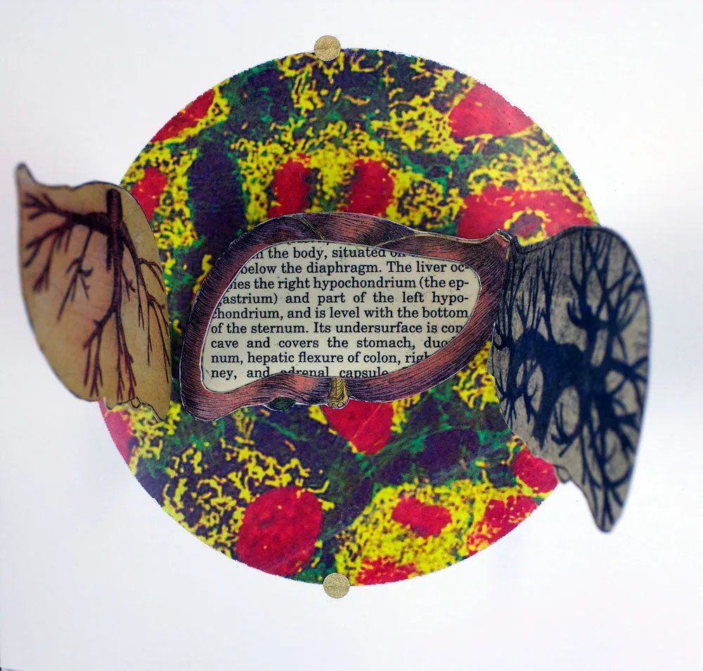 Anatomical Inquiry by Angela Batchelor -SOLD!