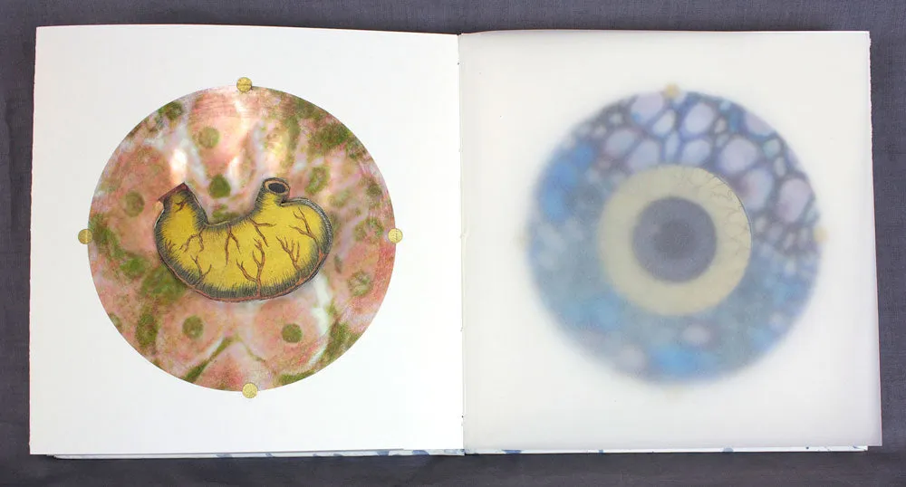 Anatomical Inquiry by Angela Batchelor -SOLD!