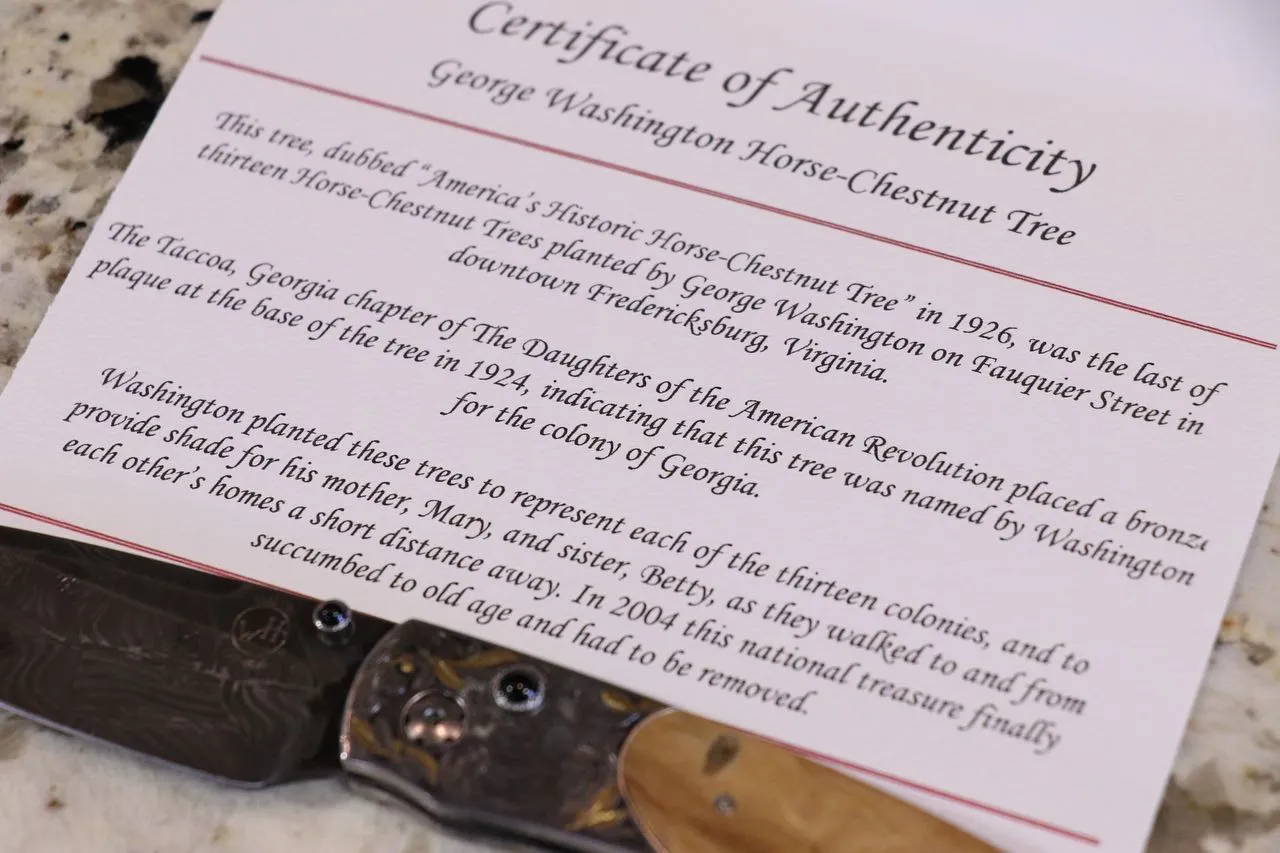B12 G Washington Pocket Knife #23 of 25