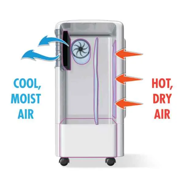 Bennet  Read BRAC2 11L Air Cooler HFN131