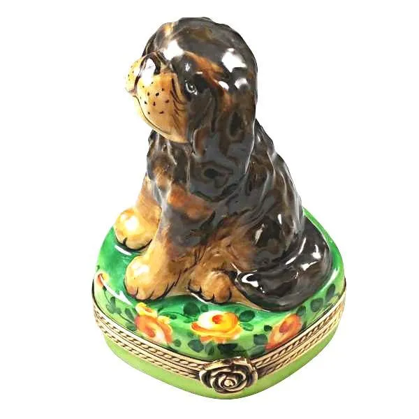 Black and Tan King Charles Spaniel Dog