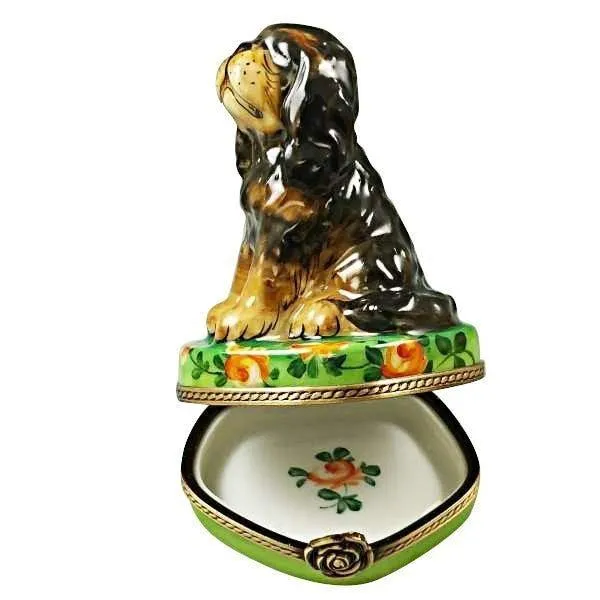 Black and Tan King Charles Spaniel Dog