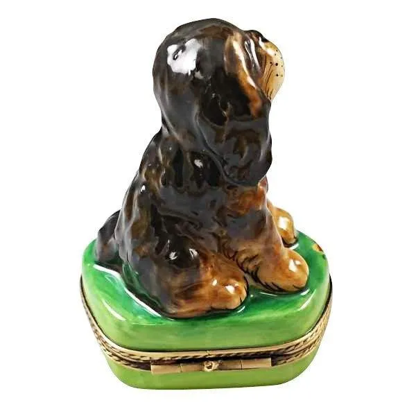 Black and Tan King Charles Spaniel Dog
