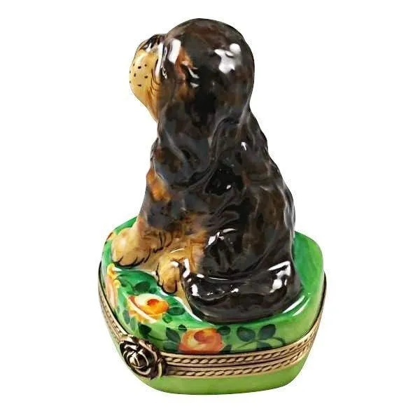 Black and Tan King Charles Spaniel Dog