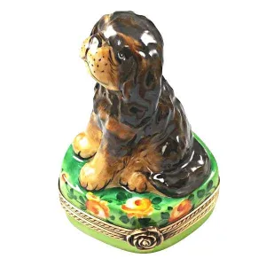 Black and Tan King Charles Spaniel Dog