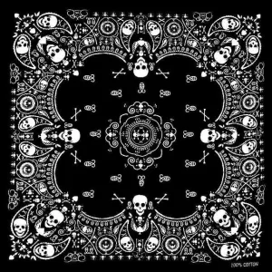 Black Bandana Skull