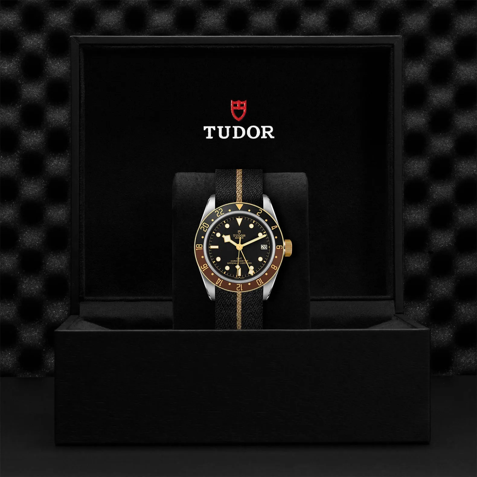 Black Bay GMT S&G