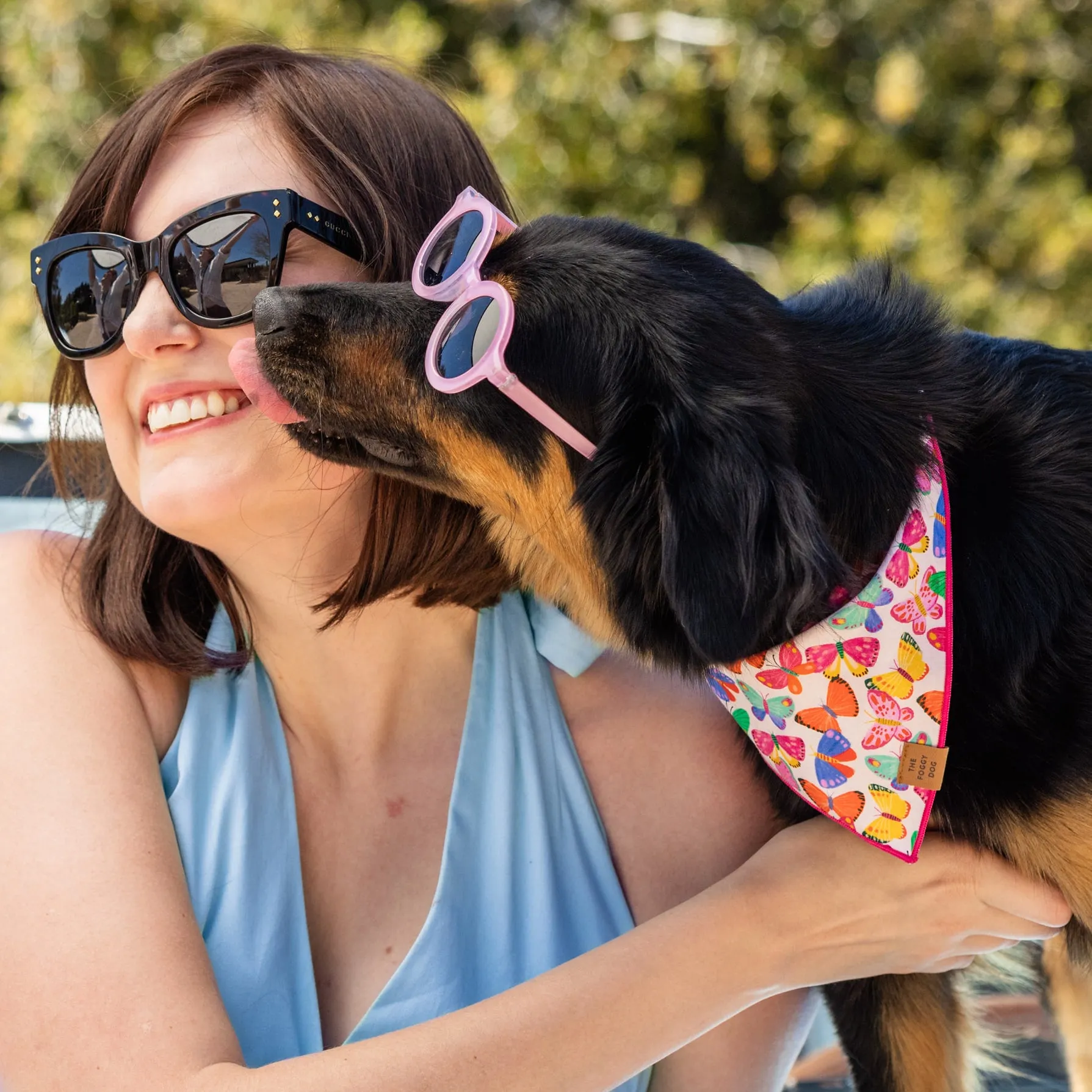 Bright Butterflies Dog Bandana