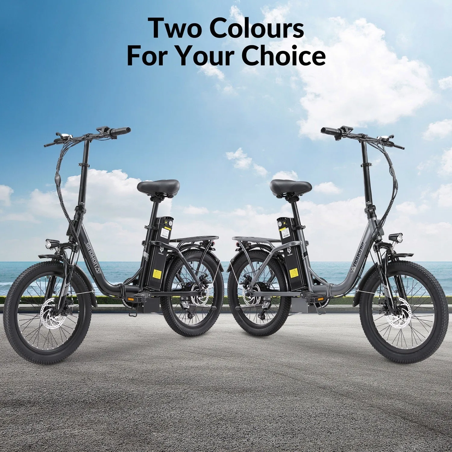 C20Ebike,250W Motor,36V18Ah Battery,20 Inches,Maximum Speed 25KM