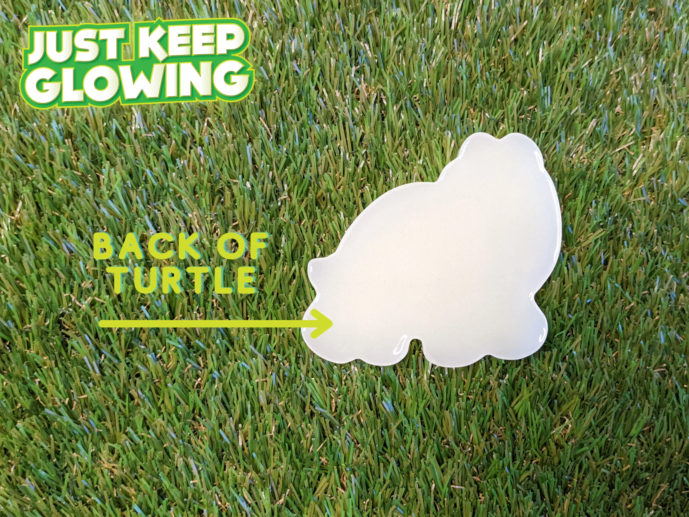 CARL THE GLOW IN THE DARK TURTLE LIGHT