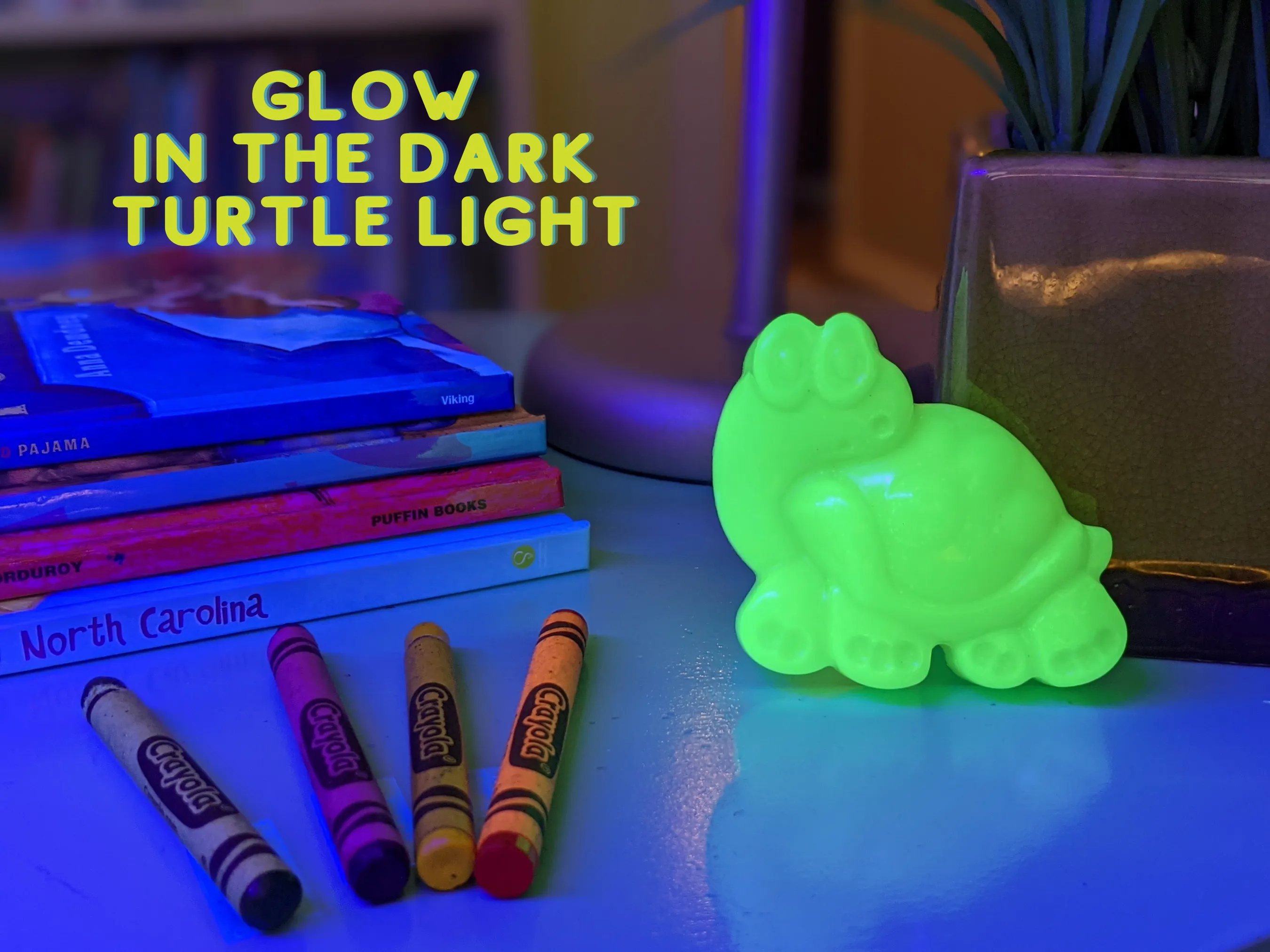 CARL THE GLOW IN THE DARK TURTLE LIGHT