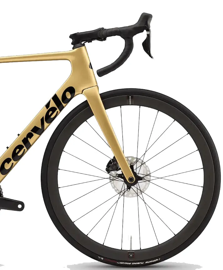 Cervelo Soloist Ultegra Di2 Carbon Road Bike 2024 - Gold Dust