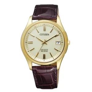 CITIZEN EXCEED EAG74-2942 watch Eco-Drive wave pair model men's  WATCH