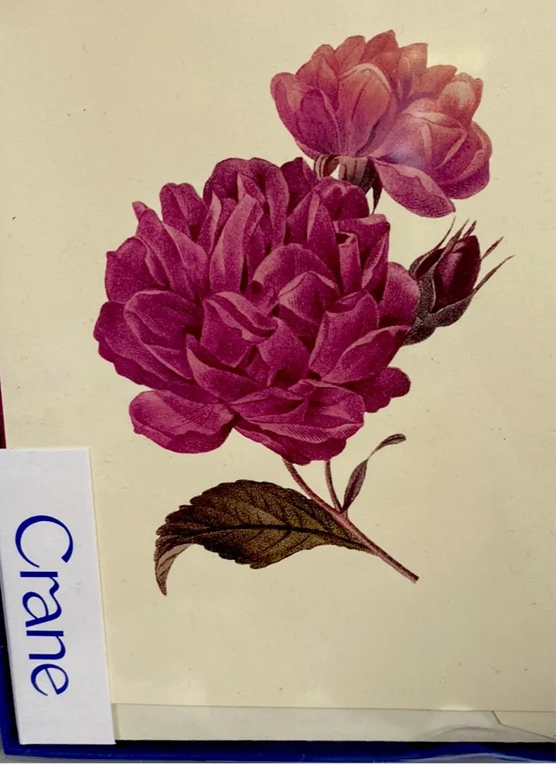 CRANE VINTAGE PEONIES NOTES