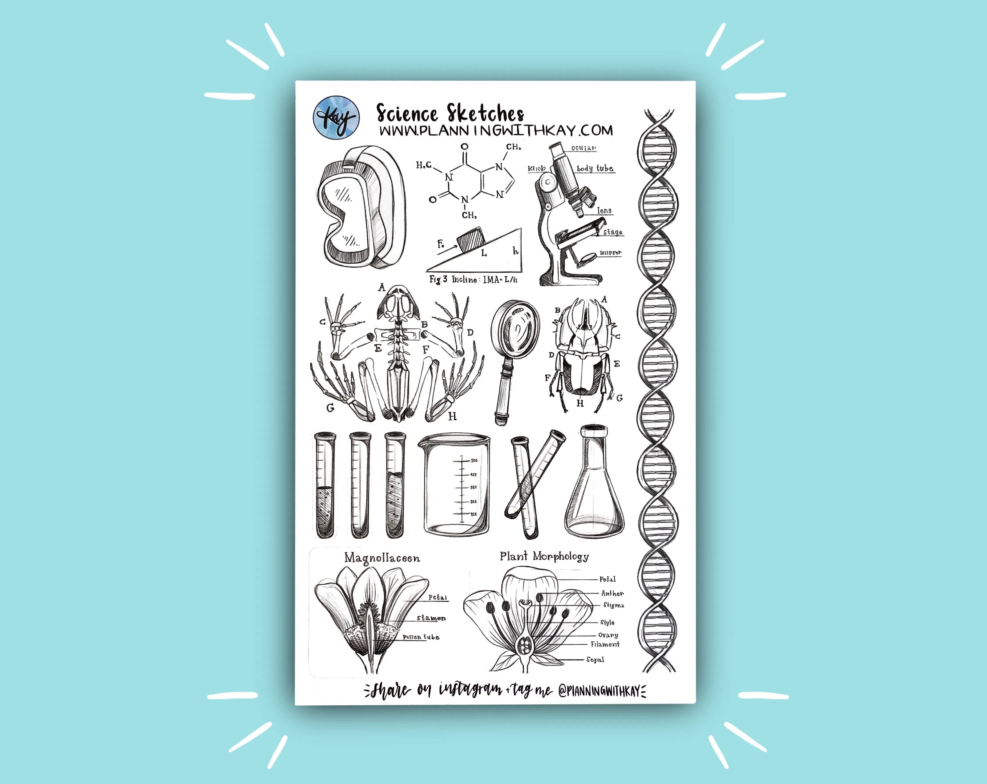 DIGITAL DOWNLOAD Science Sketches