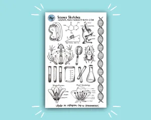 DIGITAL DOWNLOAD Science Sketches
