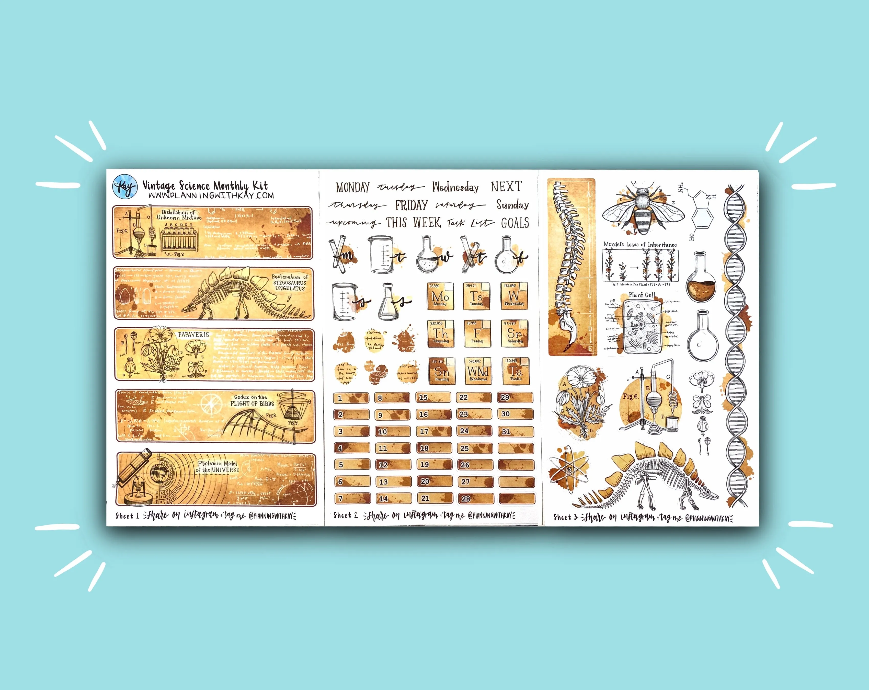 DIGITAL DOWNLOAD Vintage Science Monthly Kit