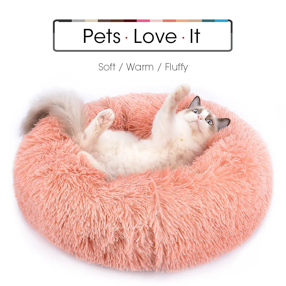 Dog Beds