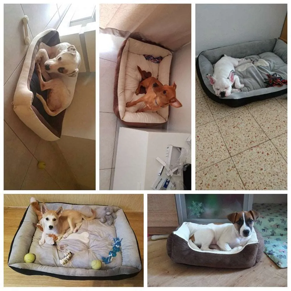 Dog Cat Bed Mats Bench Sofa Lounger For Pets