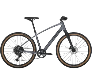 Dual Sport 3