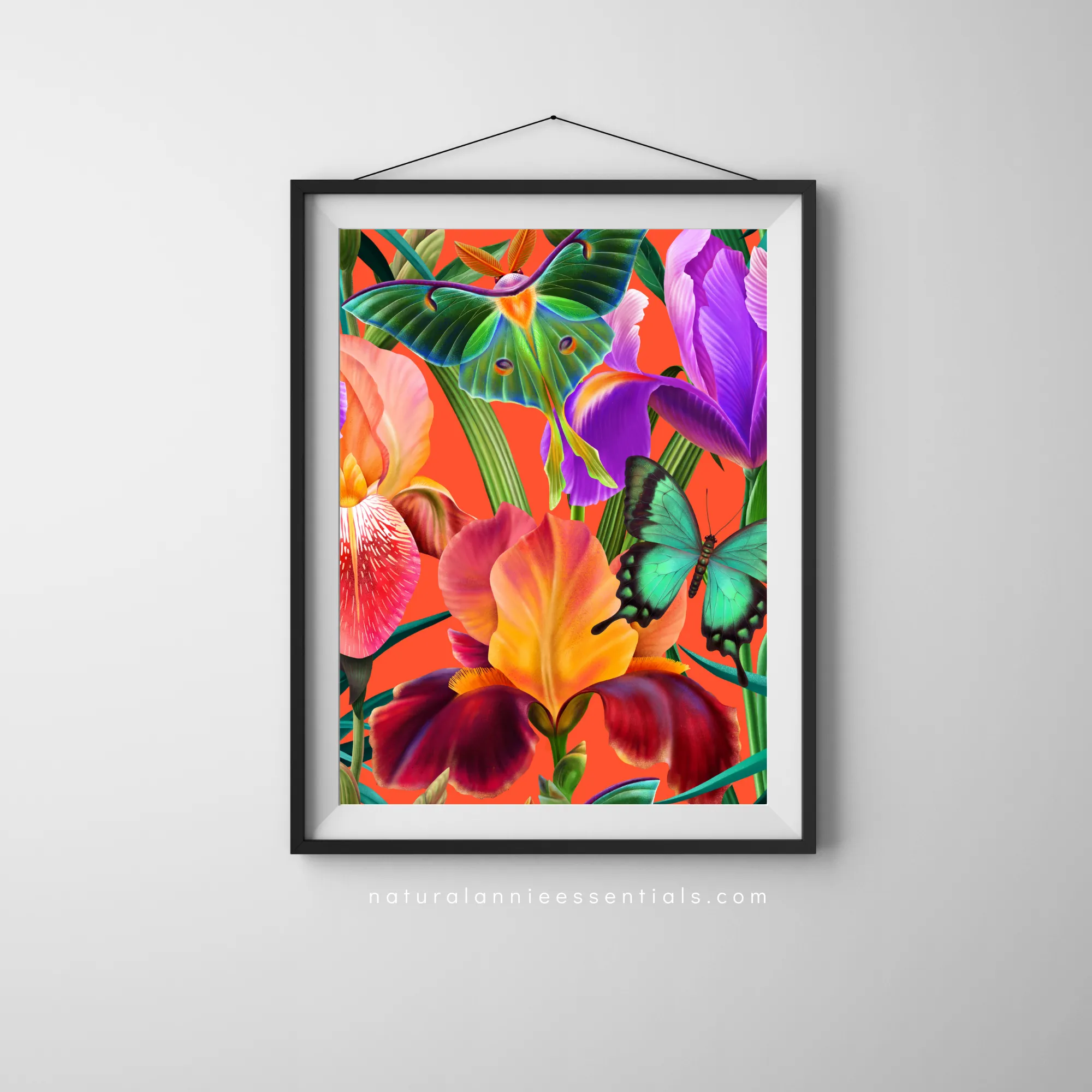 ENCHANTED TROPICS: Bold Colorful Tropical Butterfly Printed wall art