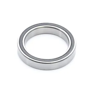 Enduro Radial Bearing 6703 17 x 23 x 4