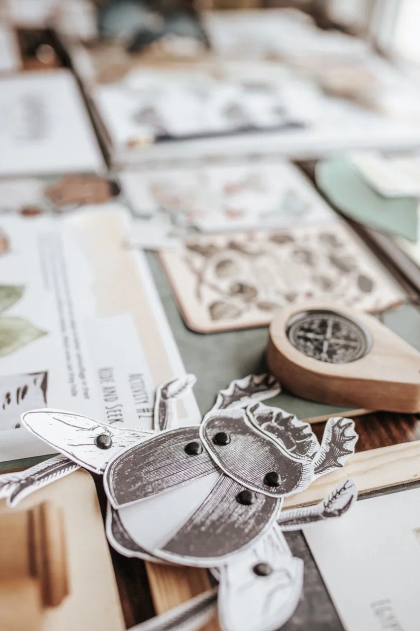Entomology Patchwork Study