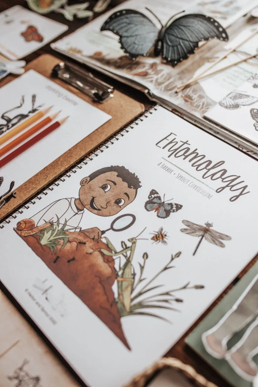 Entomology Patchwork Study