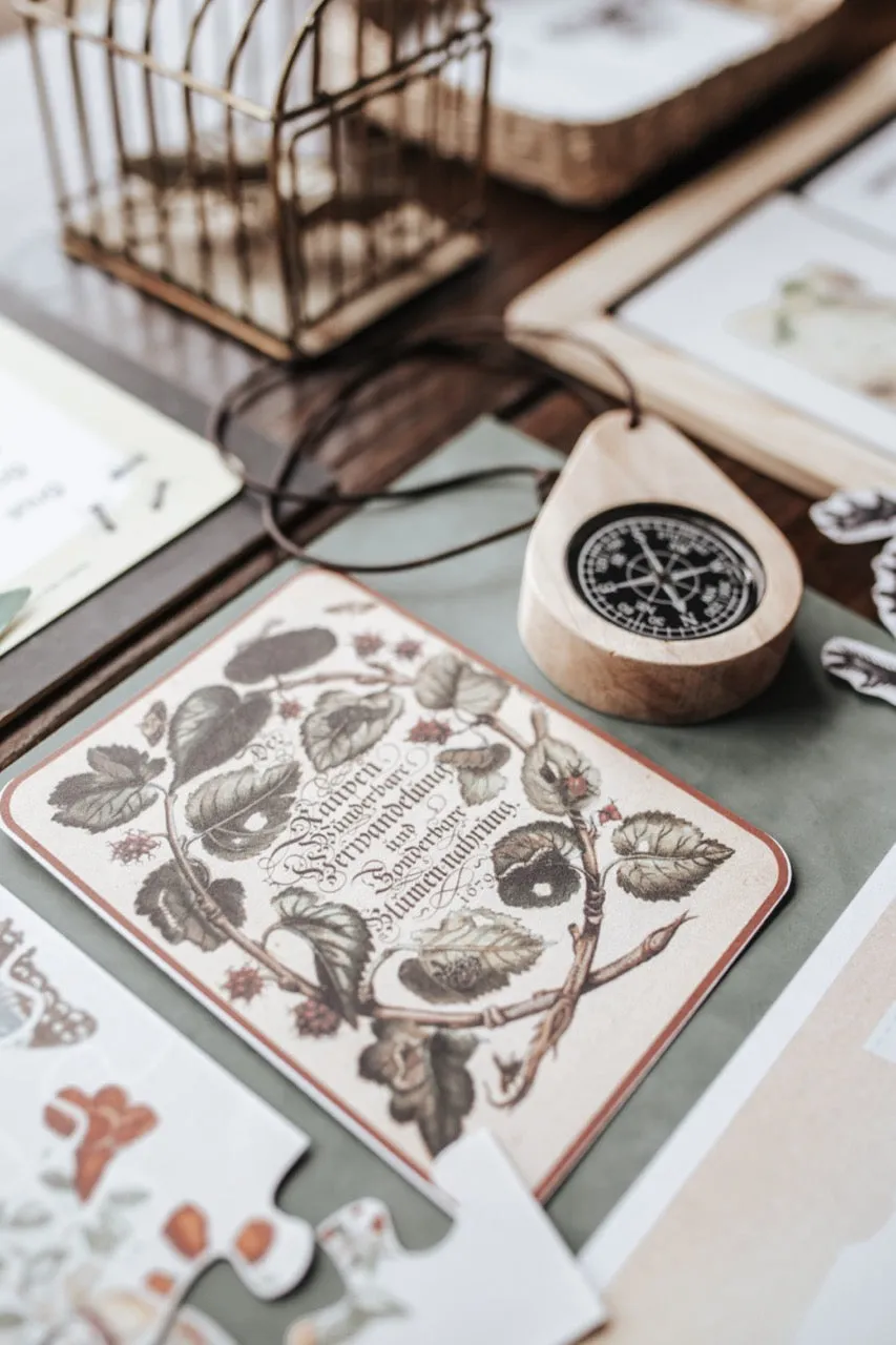 Entomology Patchwork Study