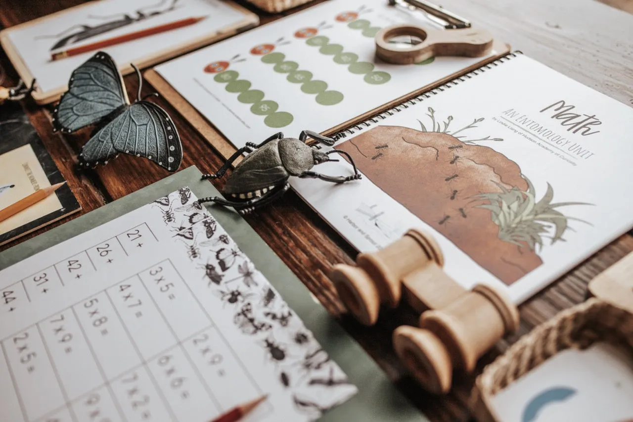 Entomology Patchwork Study