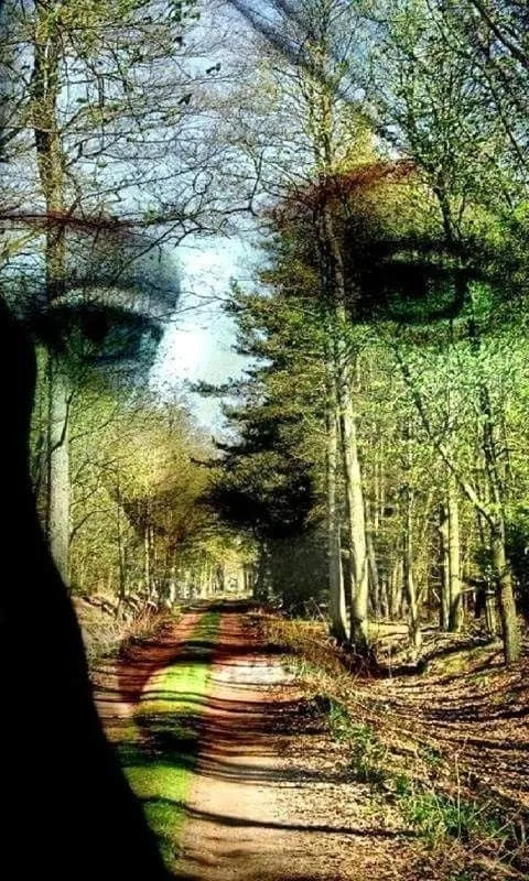 Face In The Forest - AI Enhanced Hand Crafted Original Retro Style Home Decor - Digital Download - Custom Designed Art