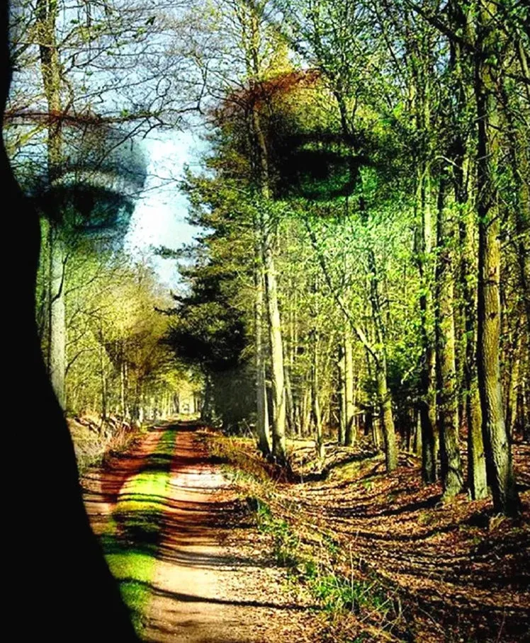 Face In The Forest - AI Enhanced Hand Crafted Original Retro Style Home Decor - Digital Download - Custom Designed Art