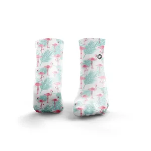 Flamingos