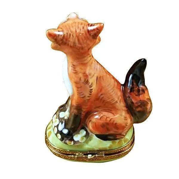 Fox