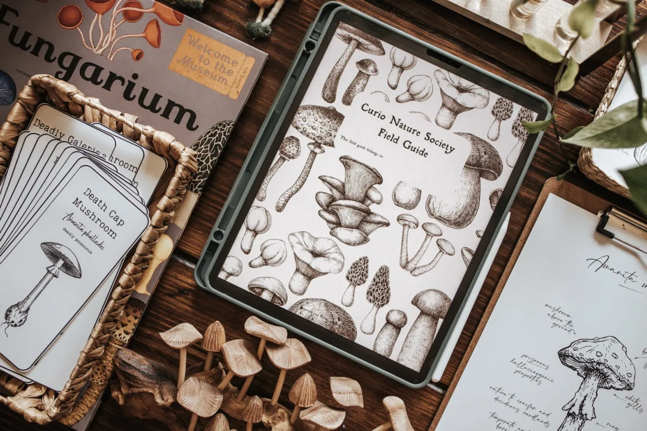 Fungi Flash Cards