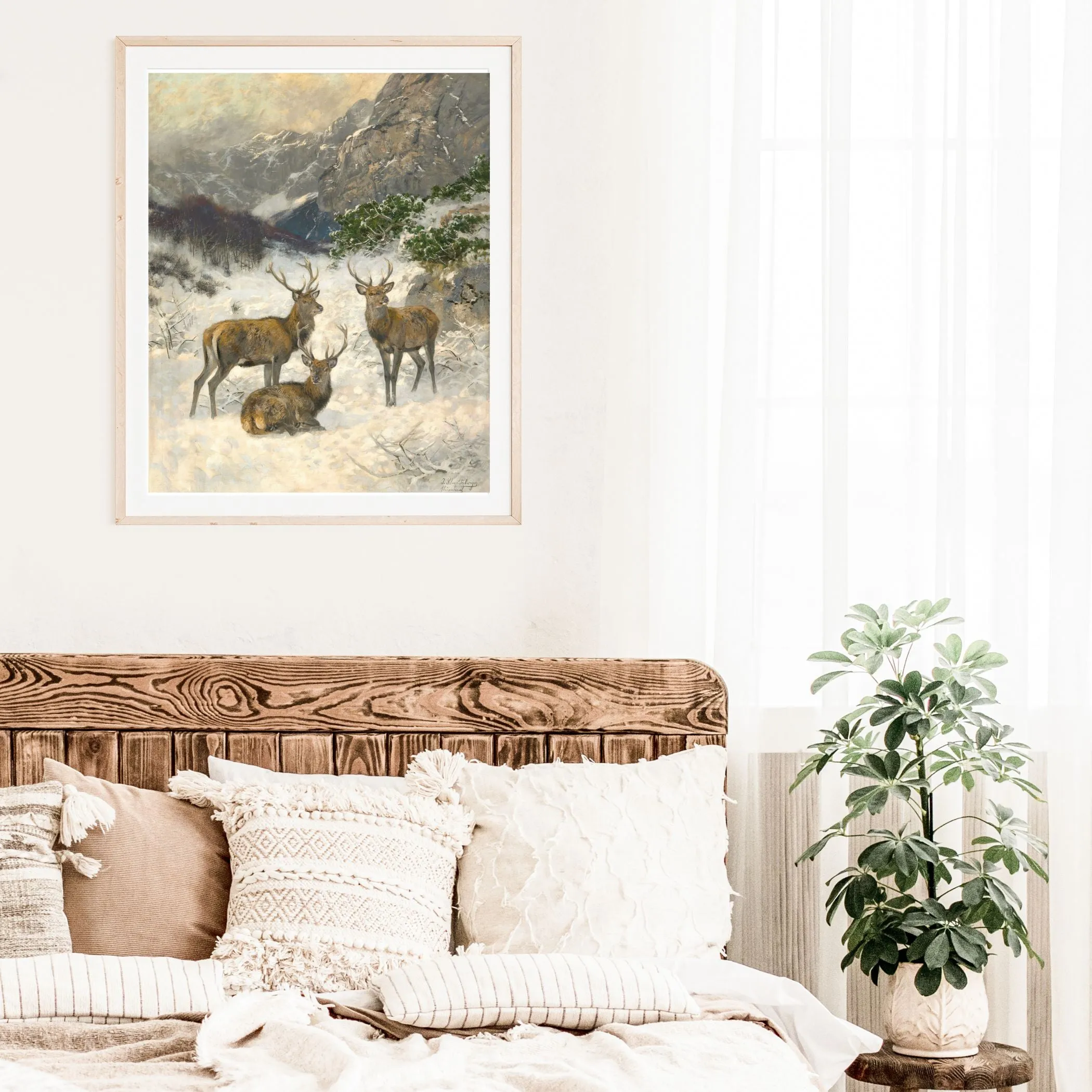 Gallery Wall Collection: Flora and Fauna of Winter