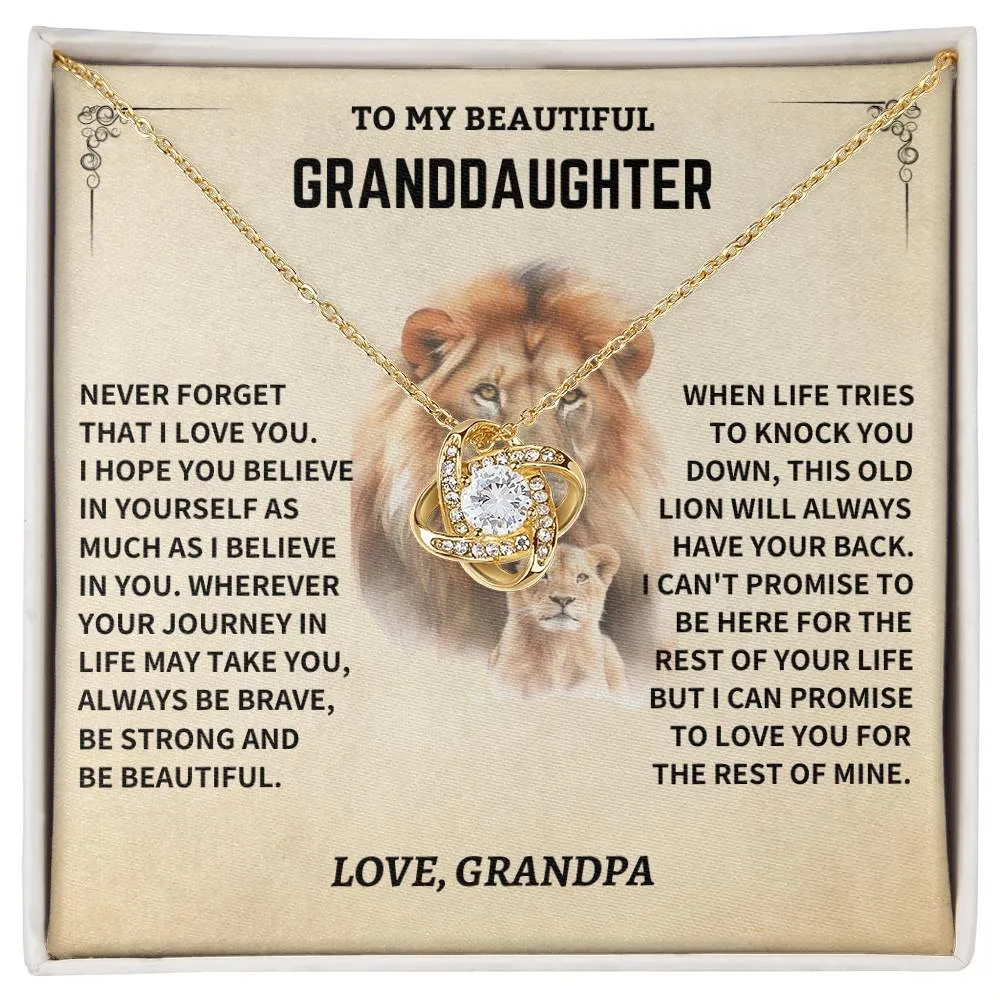 Gift For Granddaughter From Grandpa, "Never Forget How Much I Love You," Necklace