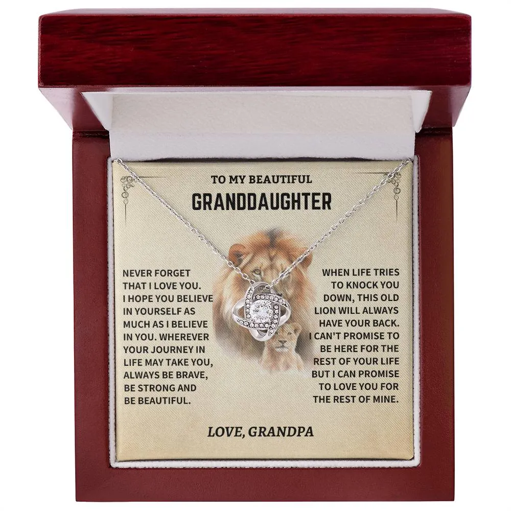 Gift For Granddaughter From Grandpa, "Never Forget How Much I Love You," Necklace