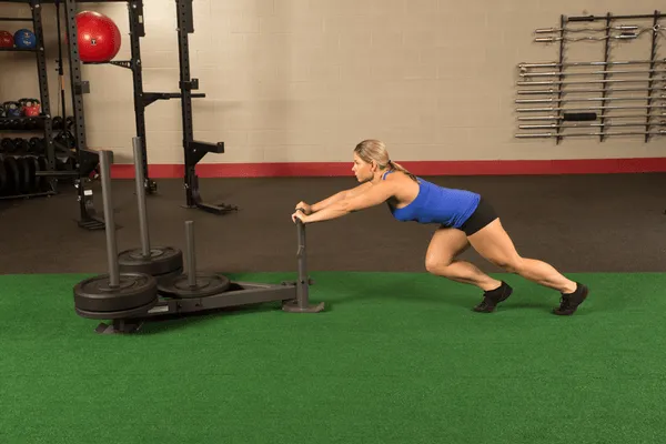 GSW100 Weight Sled