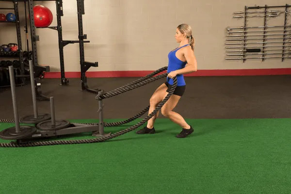 GSW100 Weight Sled